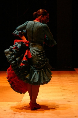 ﻿Атрибуты танцев Фламенко