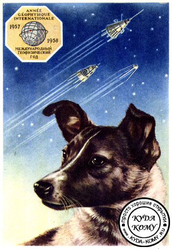 ﻿Собаки - космонавты